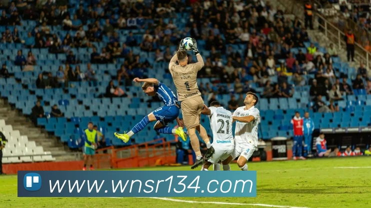 平台展示图